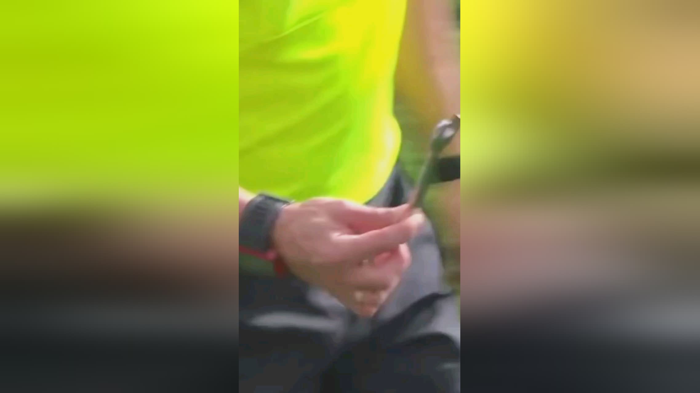比之